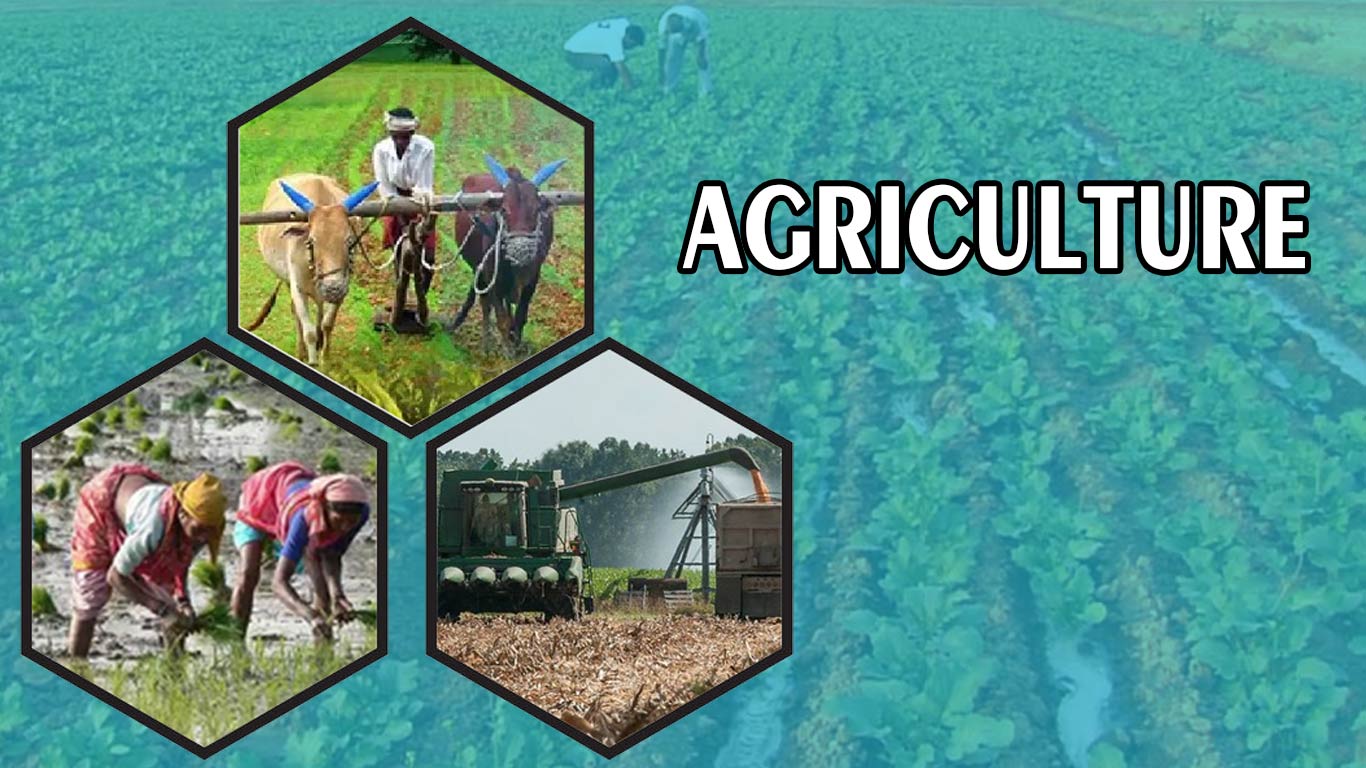 FCI's Authorised Capital To Be Increased By Rs 21,000 Crore To Boost Agriculture