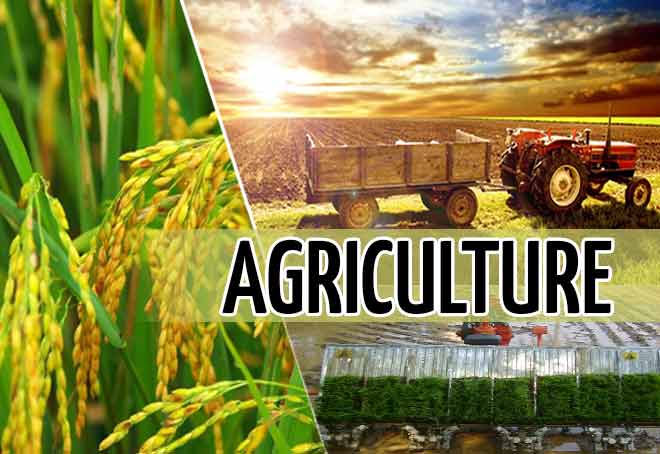 Goa Chamber of Commerce and Industry explores partnership with Netherlands to boost agriculture sector