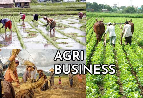 UN-ESCAP and Gates Foundation to jointly support innovative agri-business models in India and South Asia