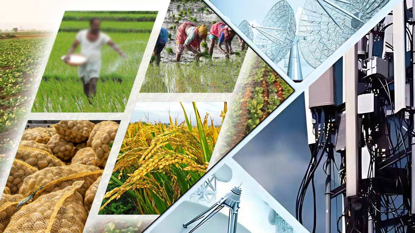 US Tariffs Hit India’s Telecom, Agriculture Sectors Hardest: EY