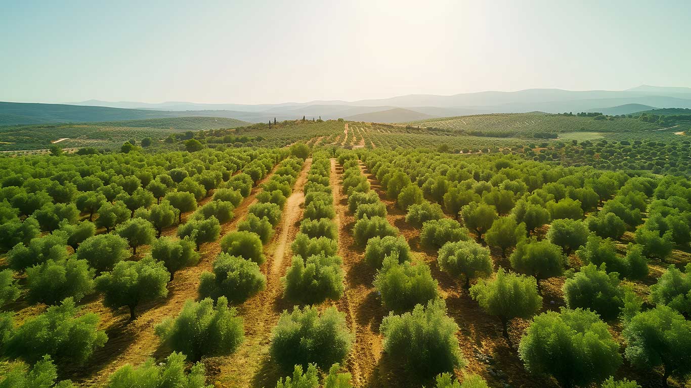 Centre Issues Model Rules to States/UTs to Boost Agroforestry and Ease of Doing Business