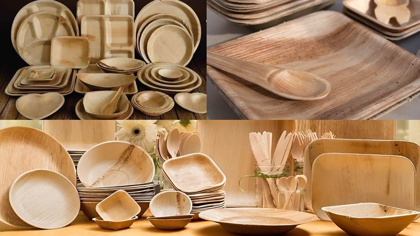 U.S. FDA Issues Import Alert On Areca Leaf Dinnerware, Impacting Indian Eco-Exports