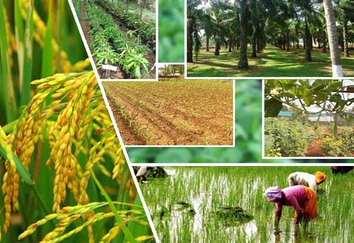Central scheme with budget over 2000 Cr to digitize Primary Agri Coop Societies in works