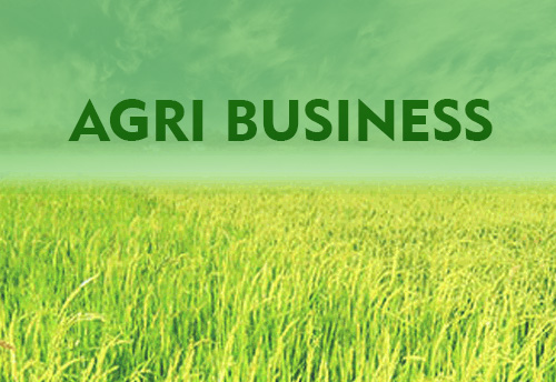 MSME sector in agri biz needs extensive facilities