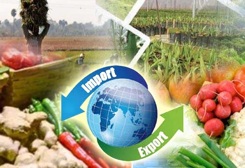 IIFT & TPCI jointly launch certificate programme in agri import & export management