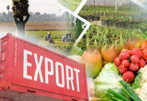 APEDA & Bangalore university ink pact to boost agri-exports