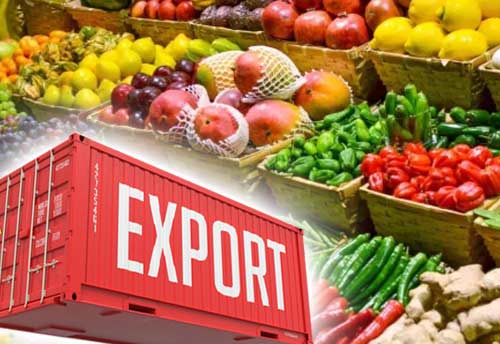 Agri exports increase of 17.37 per cent in FY 2020-21
