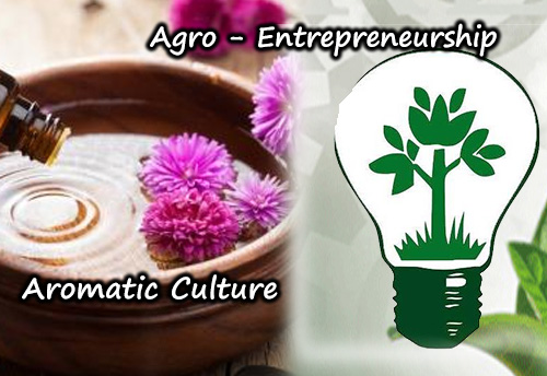 Odisha govt decides to promote agro-entrepreneurship in aromatic culture among farmers