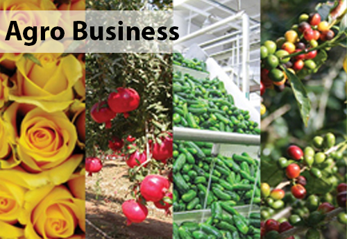 Key highlights for MSME agro units from Gujarat’s Agro Business Policy 2016-21