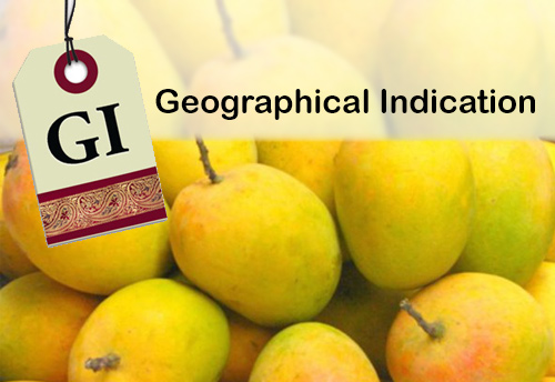 Alphonso mango gets a Geographical Indication tag