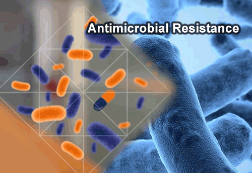 Comments sought from food industry on bacterial infections in India