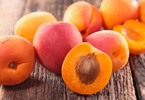 Apricot exports from Ladakh commences