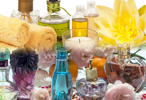 MSME department to set up Aroma Garden in Bengal Districts