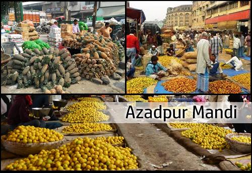 With 99 per cent porters unregistered at Asia’s biggest Mandi, workers highly vulnerable to exploitation: NASVI 