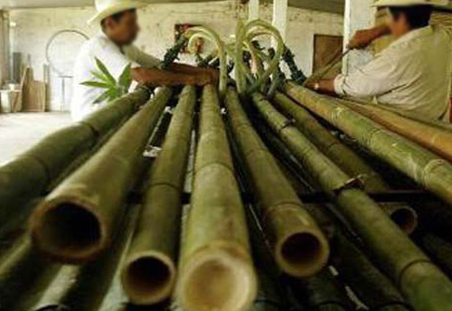 MSME Ministry bets big on Bamboo promotion, Clusters & Technology Centres planned