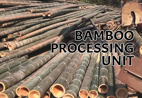 Jharkhand’s first bamboo-processing plant to begin operations by Oct 2022