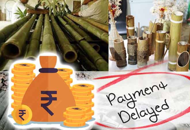 Bamboo MSME suffers as Maharashtra Forest Dept delays payment