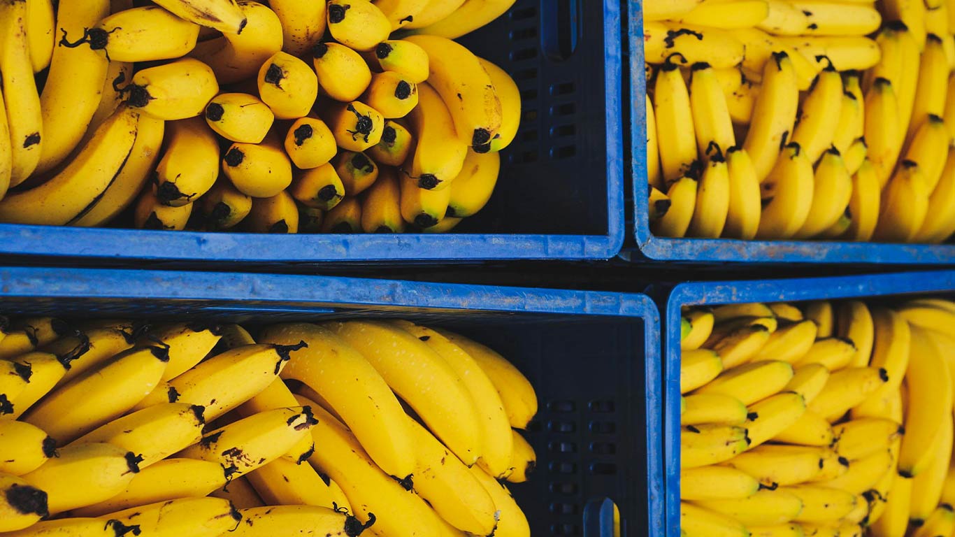 Policies Drive  Banana Production; Exports Soar Tenfold In A Decade
