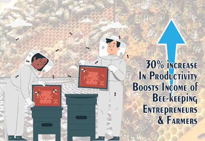 30% increase in productivity boosts income of bee-keeping entrepreneurs & farmers: KVIC