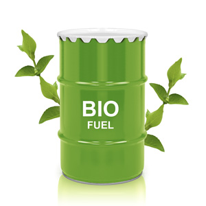 Import policy of bio-fuels is restricted for all purposes: DGFT