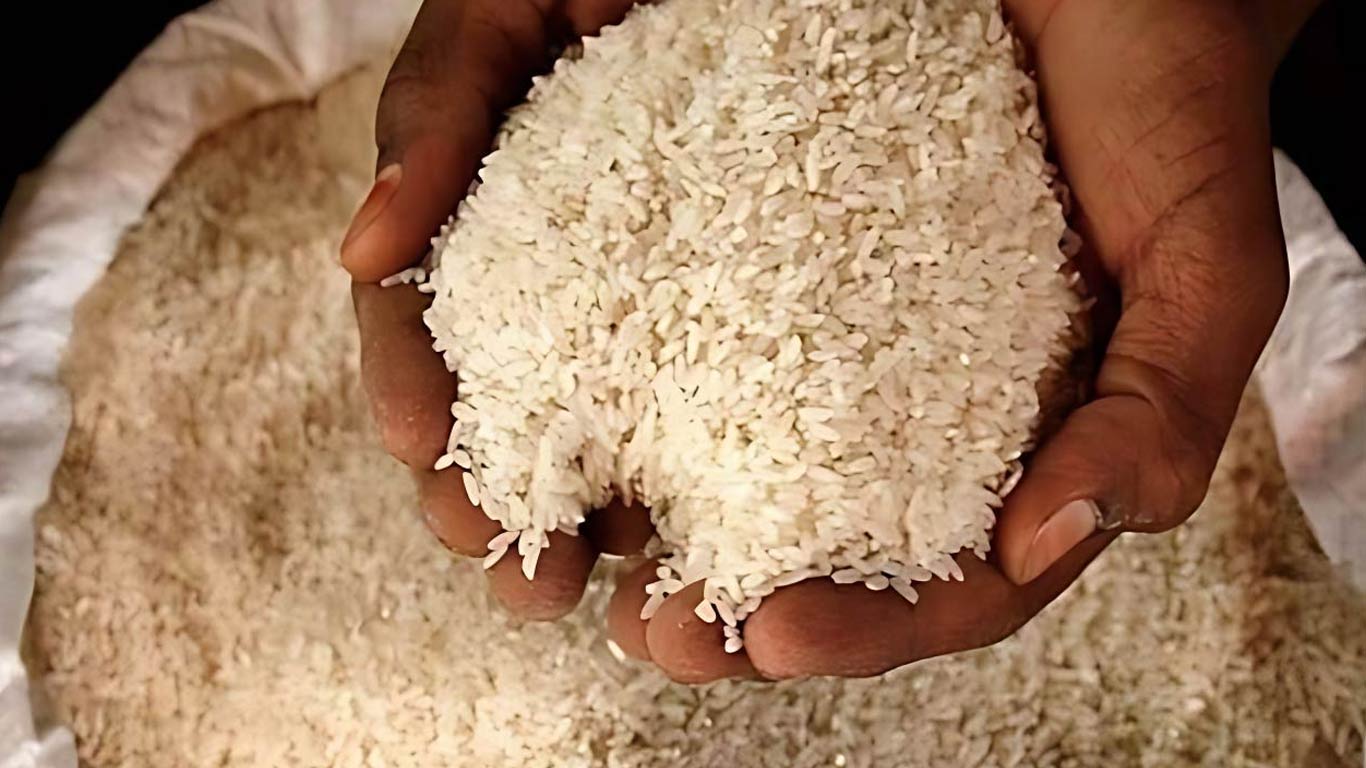 India Lifts Ban on 100% Broken Rice Exports Amid Surplus Stocks