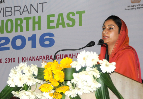 Govt calls upon entrepreneurs to set up food processing industries in the North Eastern region