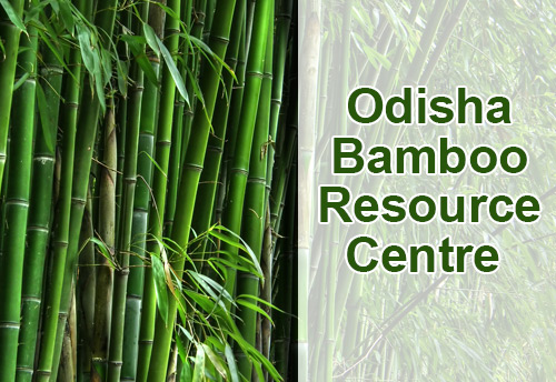 Odisha Bamboo Resource Centre to be set up in Bhubaneswar