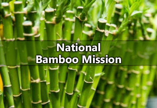 As many as 88 bamboo treatment units approved under National Bamboo Mission