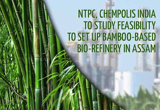 NTPC, Chempolis India to study feasibility to set up Bamboo-based Bio-Refinery in Assam