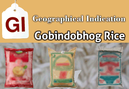 Bardhaman district’s Gobindobhog Rice bags GI tag