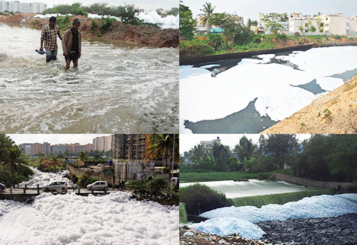 NGT’s order to shut down industries near Bellandur Lake harsh: KSIC