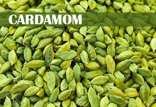 Government wants to develop cluster for cardamom in Idukki