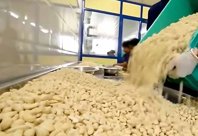Cashew processors in Kerala to strike against foreclosure proceedings of banks on Dec 21