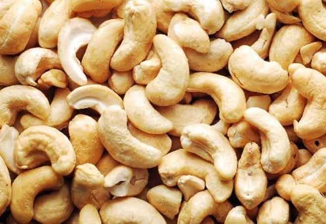 TN Cashew Processors and Exporters Association urge centre to restore export incentive
