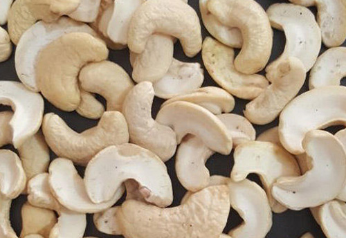 Two cashew clusters coming up at Gajapati and Khurda districts in Odisha