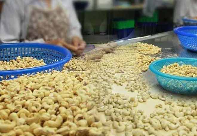 Karnataka MP Appeals For Extending Loan Repayment Period, Reduction Of Interest For Cashew Industry