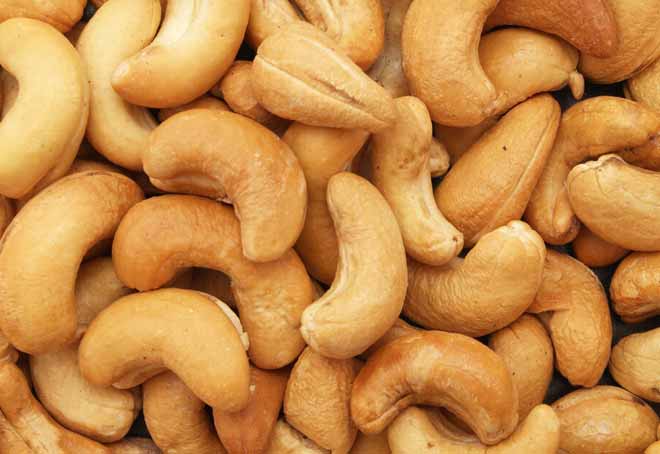 Kerala to announce scheme to revamp cashew sector: State Finance Minister