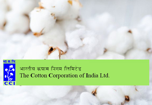 Union Govt taking measures to bring down contamination in cotton: Chairman of CCI