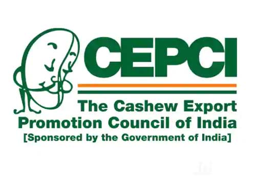 TN cashew association urges Centre to restore CEPCI’s suspension