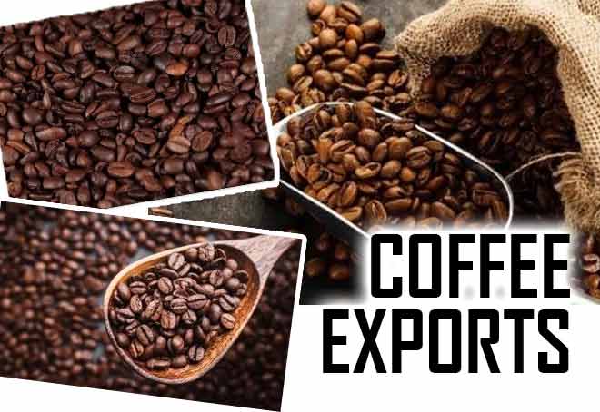 Indian coffee exports touch Rs 3,312 cr in April-Sept period