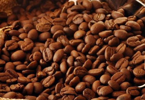 Andhra Pradesh's Araku coffee to get GI tag soon
