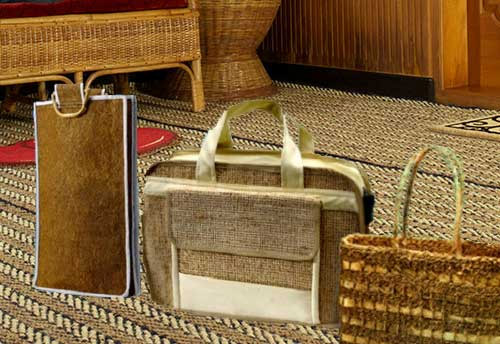Export of Coir products break records: Govt 