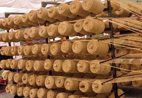 MSME Minister Narayan Rane calls for expansion of Coir Industry in Konkan and NE