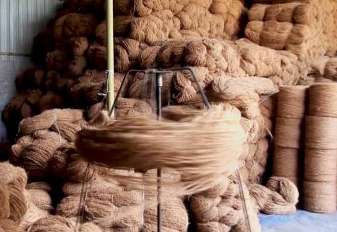 Central Pollution Control Board Seeks Feedback On Orange Classification For Coir Industry
