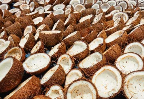 Govt approves hike in Copra (Coconut kernel) MSP
