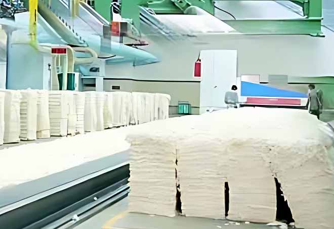 Kerala Cotton Board seeks Rs 35 crore loan from NCDC for procurement of ...