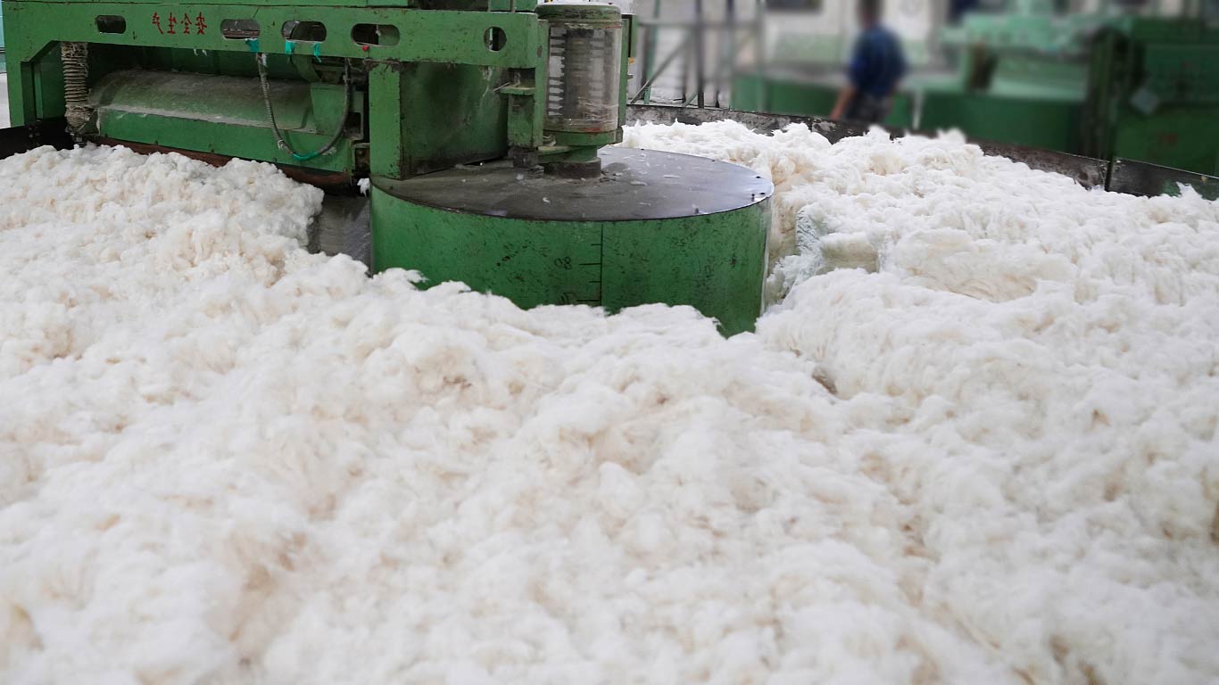 CAI Retains Cotton Pressing Estimate Amid Market Dynamics