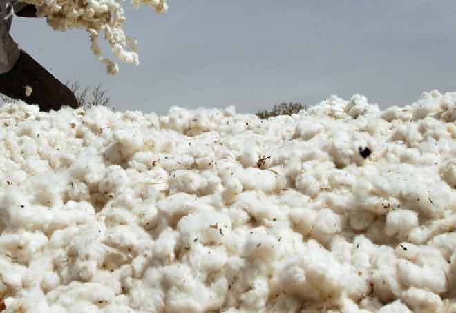 India’s cotton exports prediction falls to 1.8 mn bales for April’23