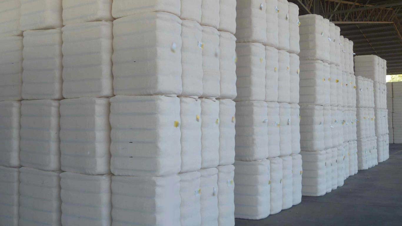 India Temporarily Removes Cotton Import Duty To Support Textile Industry