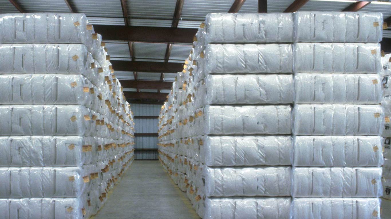 India Plans 5-Year Cotton Technology Mission To Reduce Import Dependence